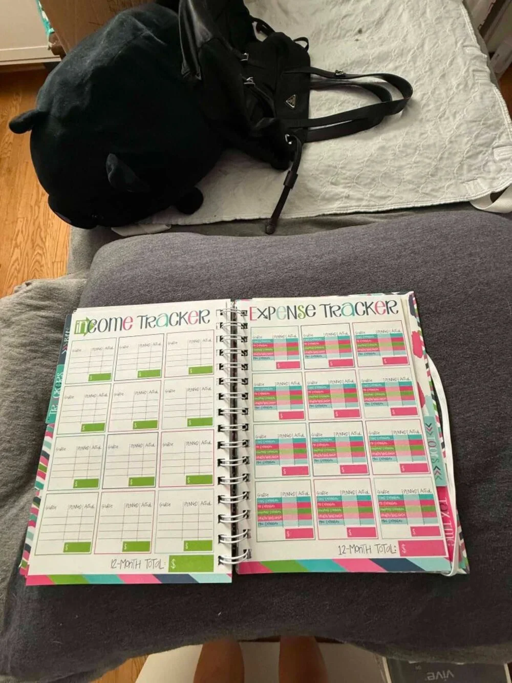 Denise Albright Budget Binder™ Undated 12-Month Budget Planner Workbook